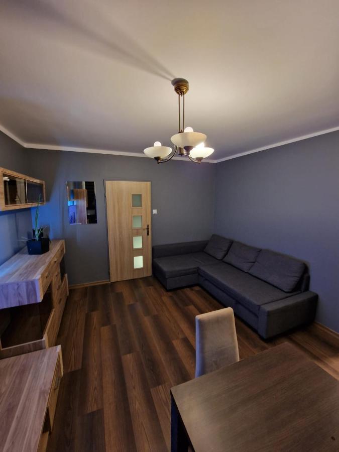شقة Luxury Aparments Klimatyzacja Z Prywatnym Parkingiem رادوم المظهر الخارجي الصورة